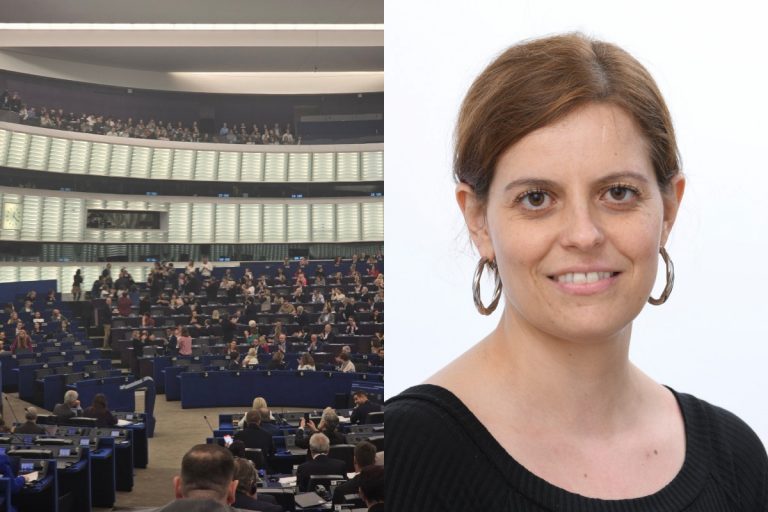 pe ue ilaria salis unijny parlament