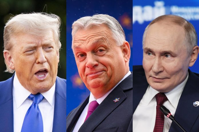 NCZAS.INFO | Donald Trump, Viktor Orban, Władimir Putin. Zdjęcie ilustracyjne. Źródło: PAP/EPA