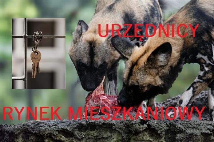 urzednicy-rynek-mieszkaniowy-klucze aństwo interweniujące na rynku mieszkaniowym. Hieny klucze