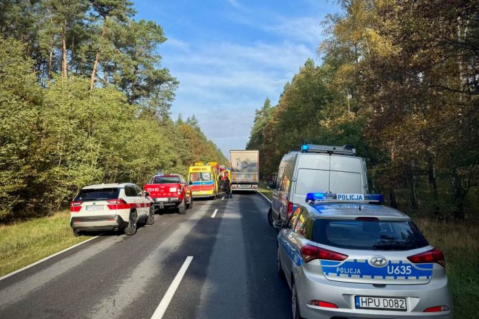 wypadek wielkopolska policja dk10