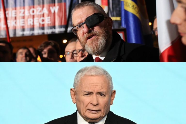 Grzegorz Braun oraz Jarosław Kaczyński