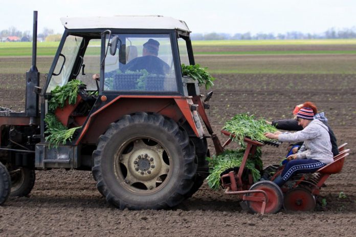 Podatek VAT od samozbiorów.