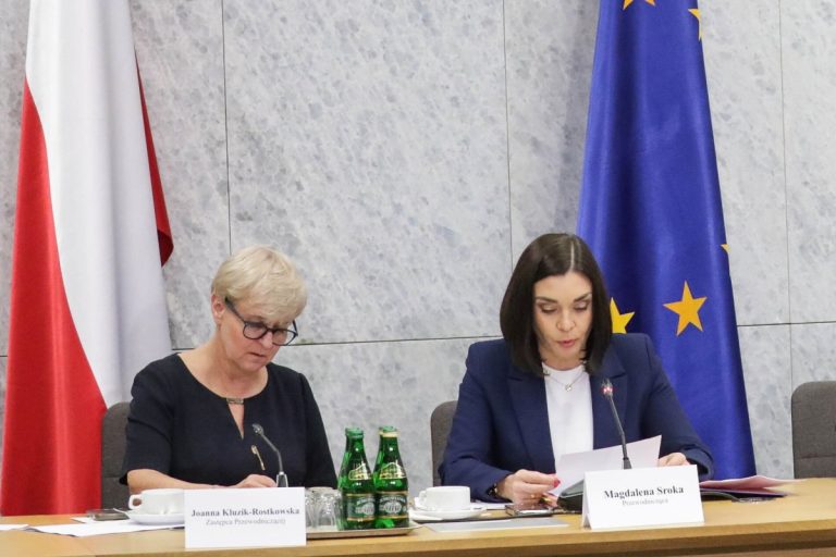 komisja pegasus joanna kluzik-rostkowska magdalena sroka