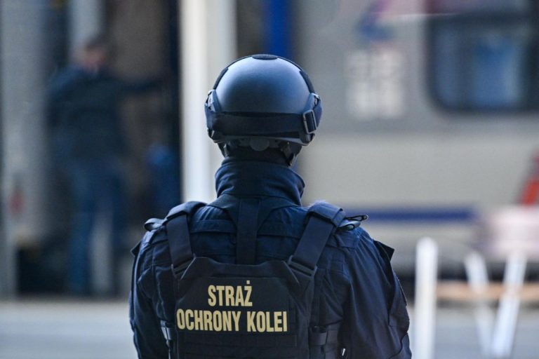 Funkcjonariusz Straży Ochrony Kolei.