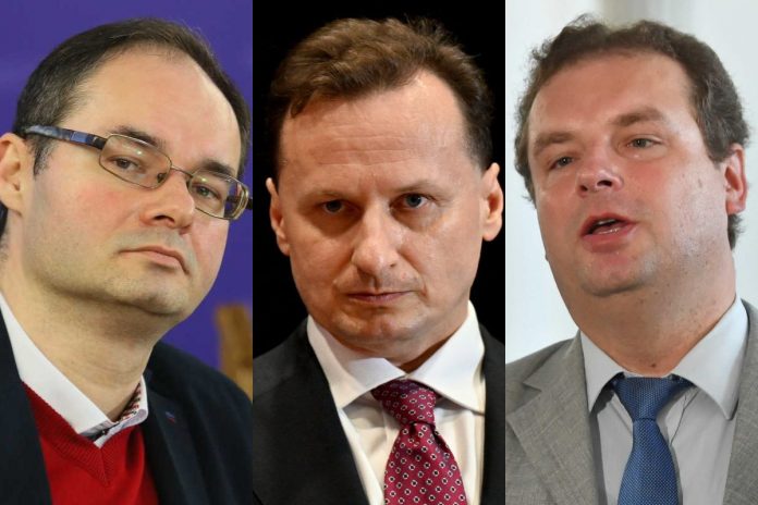 Wielomski Sommer Wilk