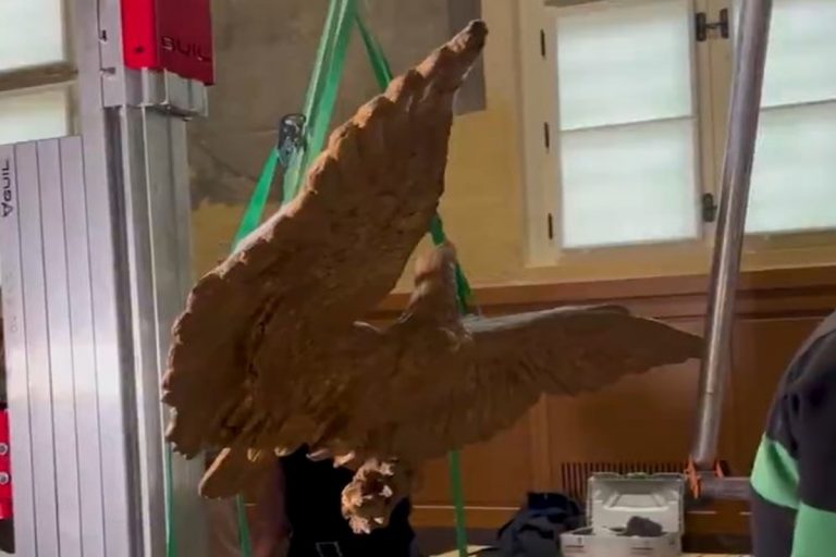 Odkryty przypadkowo orzeł cesarski powrócił na honorowe miejsce