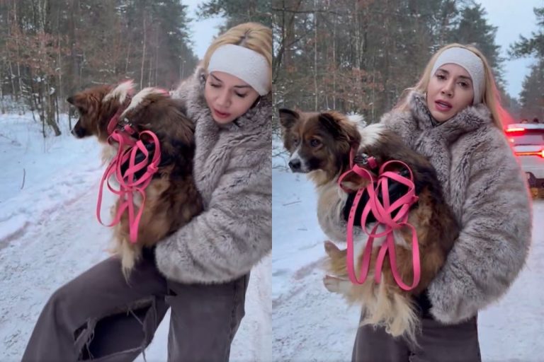 NCZAS.INFO | Marianna Schreiber w schronisku w Sobolewie