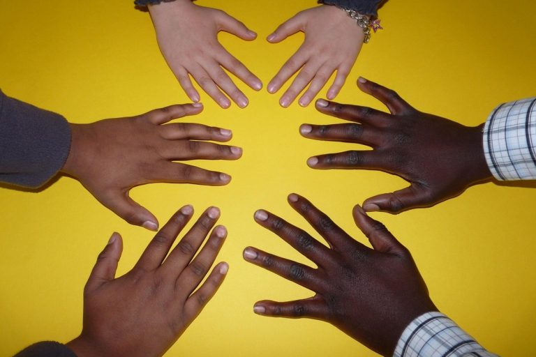 NCZAS.INFO | Multikulti integracja z imigrantami. Co mogło pójść nie tak? Jak zwykle... Zdjęcie ilustracyjne. Źródło: pixabay