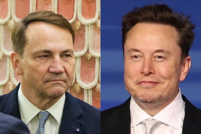 radoslaw sikorski elon musk