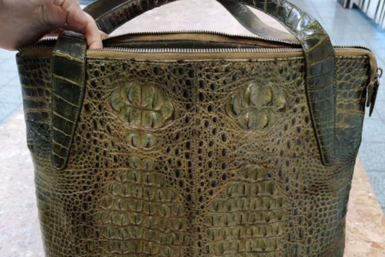 torebka krokodyl