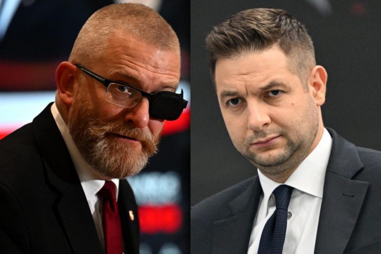 Grzegorz Braun i Patryk Jaki