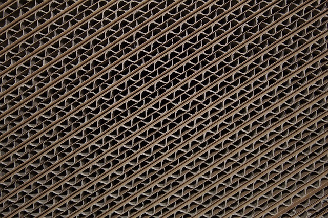 Ministerstwo Klimatu idzie w stronę socjalizmu? Nowy podatek od opakowań i władza w ręce urzędników