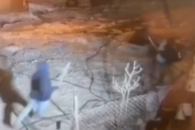 palestyna zydowscy osadnicy