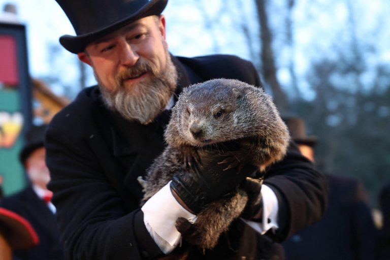 NCZAS.INFO | Słynny świstak Phil z miasteczka Punxsutawney w Pensylwanii. Foto: PAP/Abaca