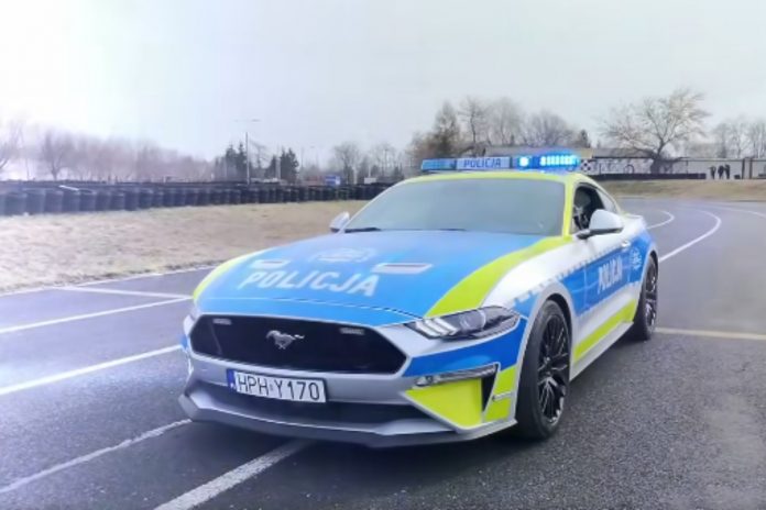 policja mustang