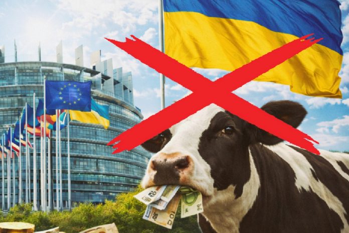 krowa ue pieniadze ukraina