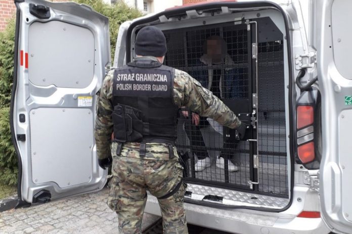 Straż Graniczna, deportacja.