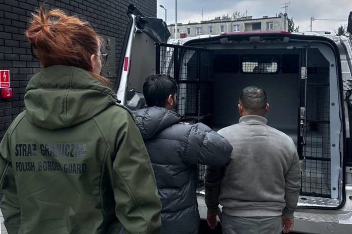 straz graniczna sg czestochowa imigranci