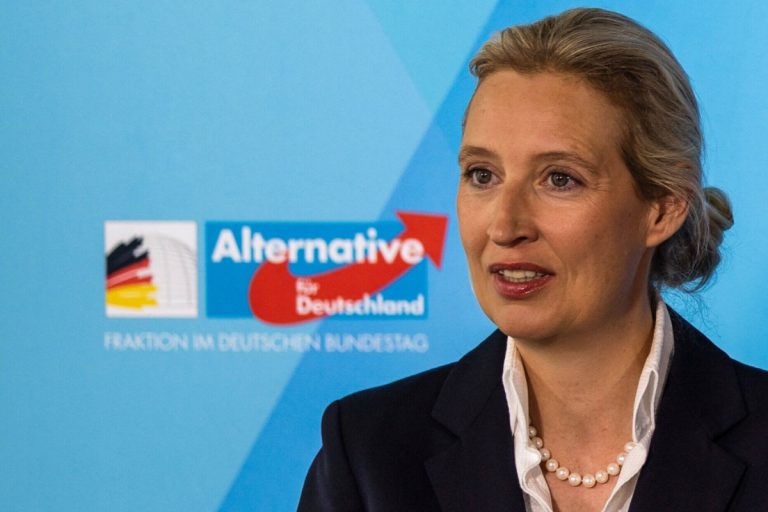NCZAS.INFO | Szefowa Alternative fur Deutschland (AfD) Alice Weidel. / Fot. PAP/DPA