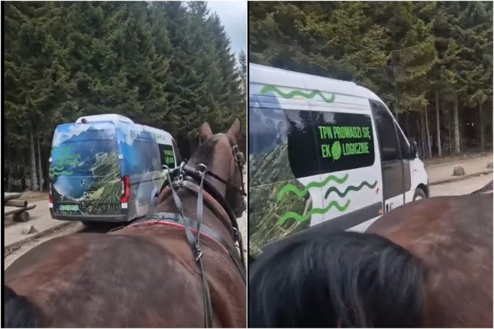 Awaria elektrycznego busa przed Morskim Okiem.