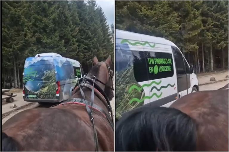 Awaria elektrycznego busa przed Morskim Okiem.