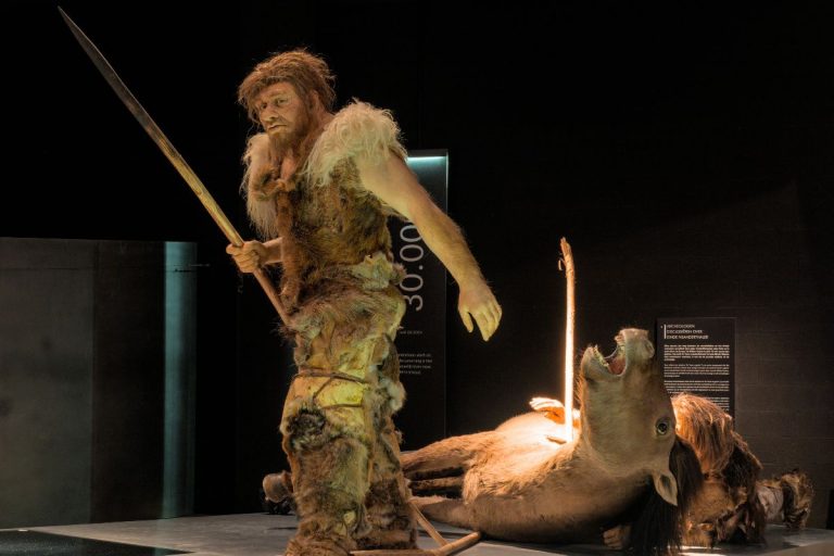 Neandertalski myśliwy, rekonstrukcja w Gallo-Romeins Museum.