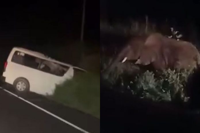 Minibus przejeżdżający przez park narodowy Murchison Falls w Ugandzie zderzył się ze słoniem.