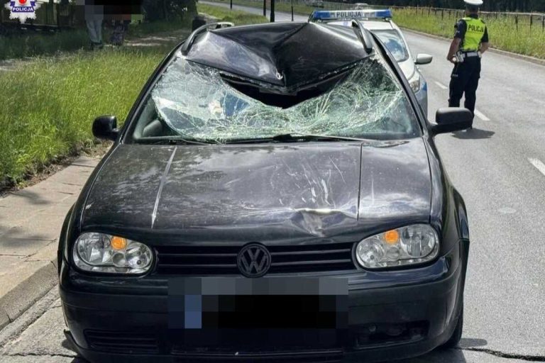 NCZAS.INFO | Samochód, którym przemieszczali się dwaj Ukraińcy i Rosjanin.