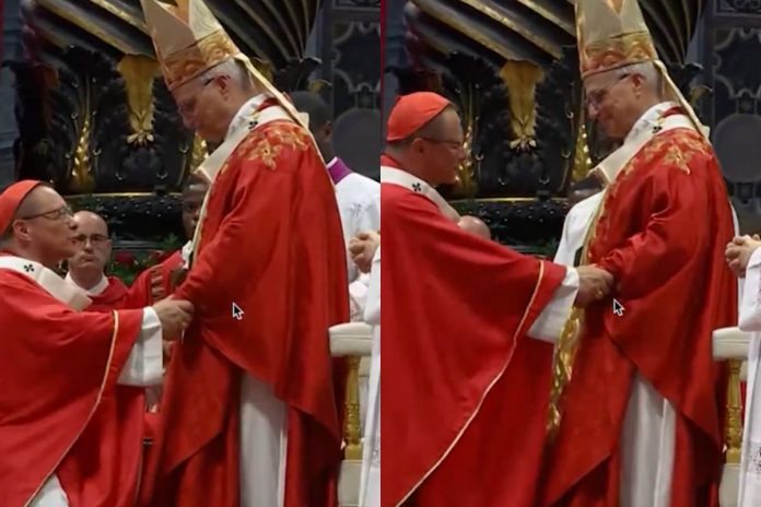 NCZAS.INFO | Kard. Grzegorz Ryś oraz papież Leon XIV.