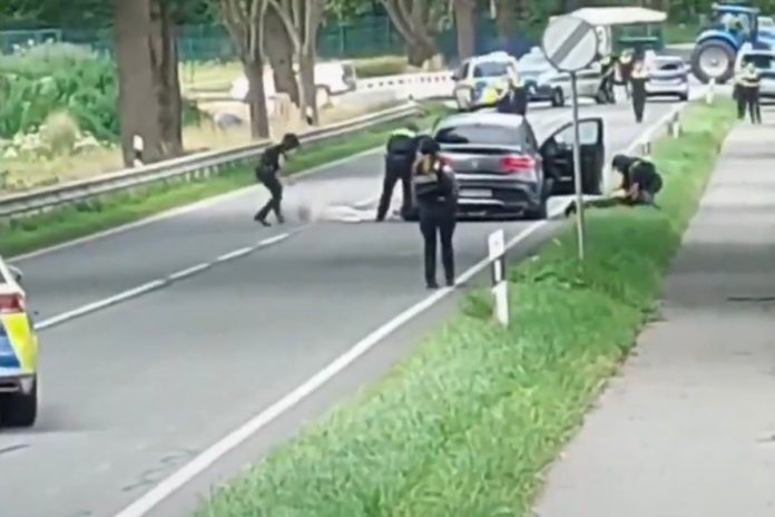 NCZAS.INFO | Zatrzymanie przez niemiecką policję mordercy spod Hamburga. Foto: print screen X