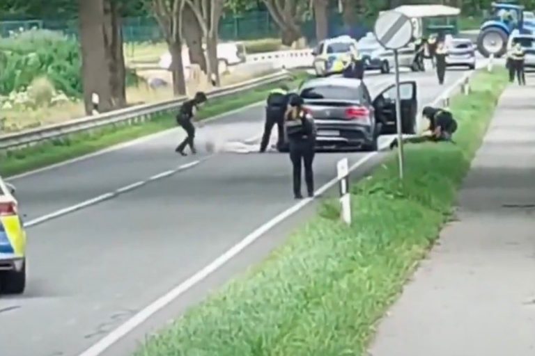 NCZAS.INFO | Zatrzymanie przez niemiecką policję mordercy spod Hamburga. Foto: print screen X