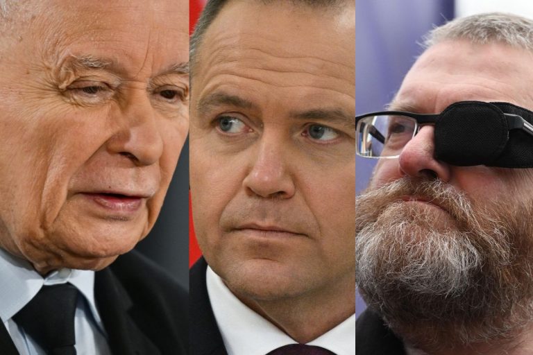 jaroslaw kaczynski karol nawrocki grzegorz braun