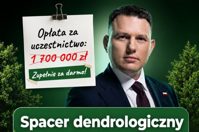 NCZAS.INFO | Sławomir Mentzen zaprasza na darmowy spacer dendrologiczny. Obrazek ilustracyjny. Źródło: X/Sławomir Mentzne