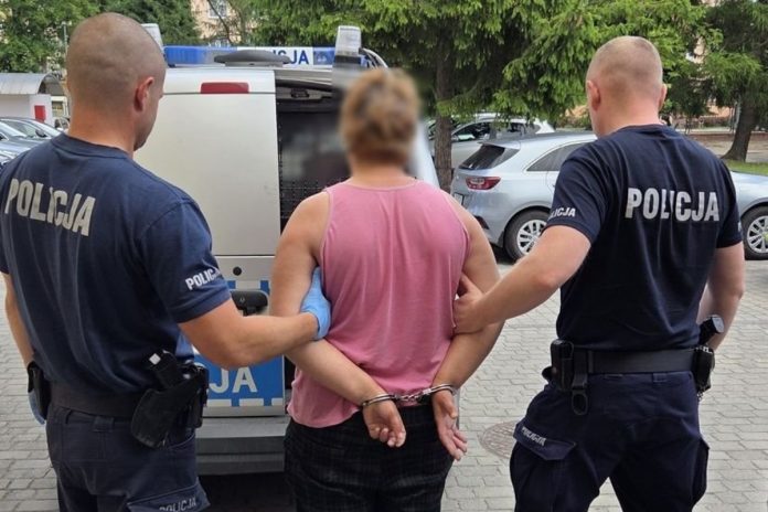 policja kobieta podpalaczka lubelskie dziedźwiada