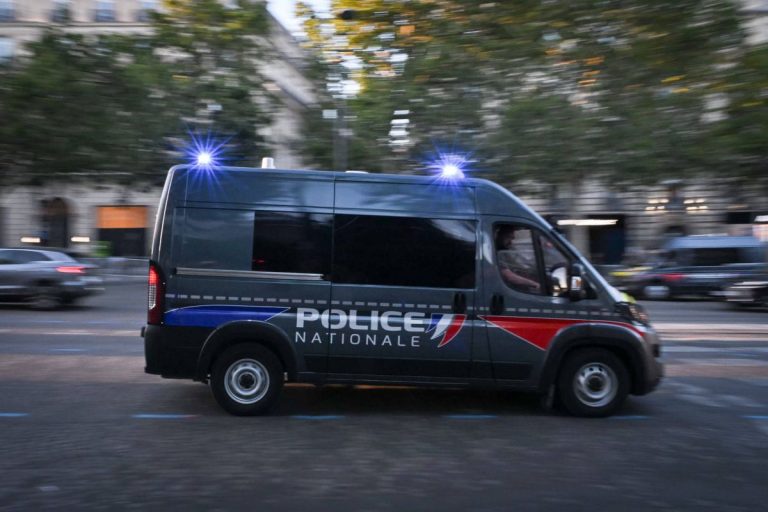 Francuska policja.
