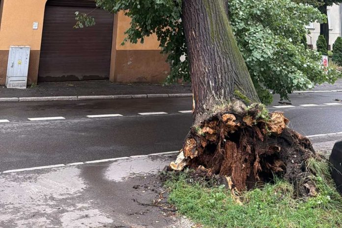 Nawałnica w Jeleniej Górze.