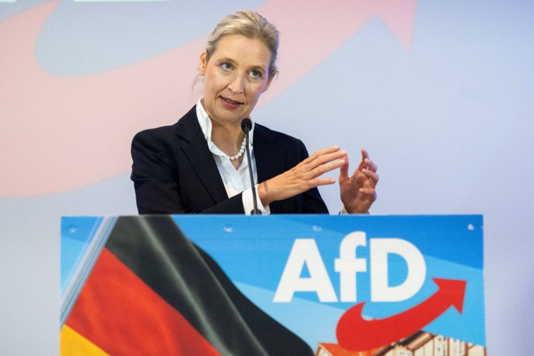 Alice Weidel