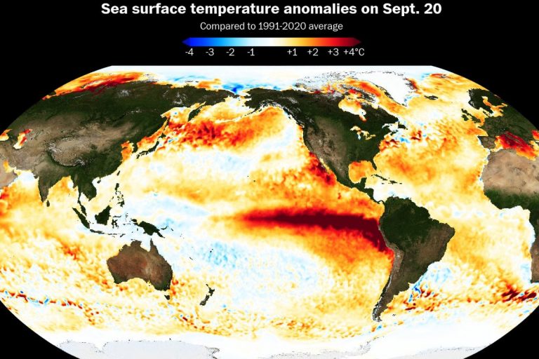 NCZAS.INFO | Anomalia temperatury powierzchni oceanów na dzień 20 sierpnia 2026 r. Obrazek ilustracyjny. Źródło: NOAA