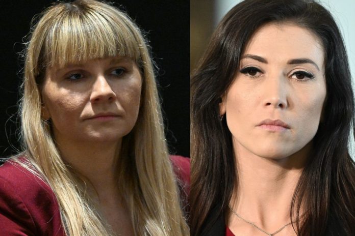 monika horna-cieslak ewa zajaczkowska-hernik