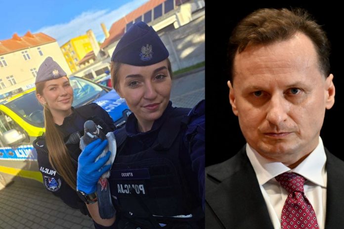 policjantki gryfice golab tomasz sommer