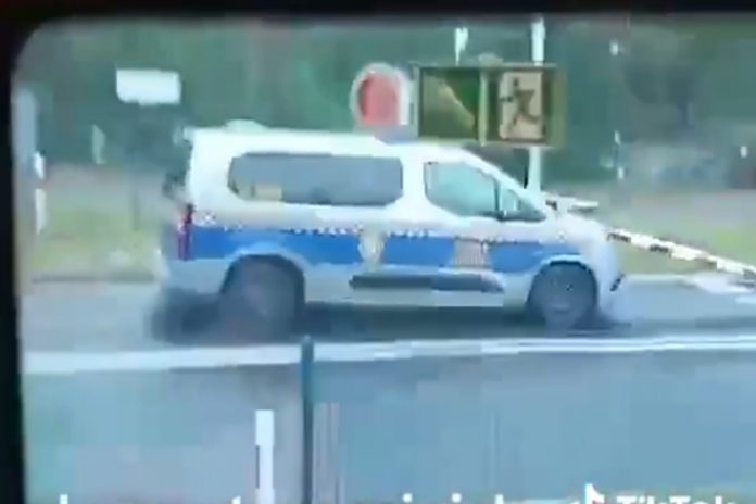 rogatki straz miejska dabrowa gornicza