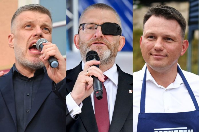 Adrian Zandberg, Grzegorz Braun i Sławomir Mentzen.