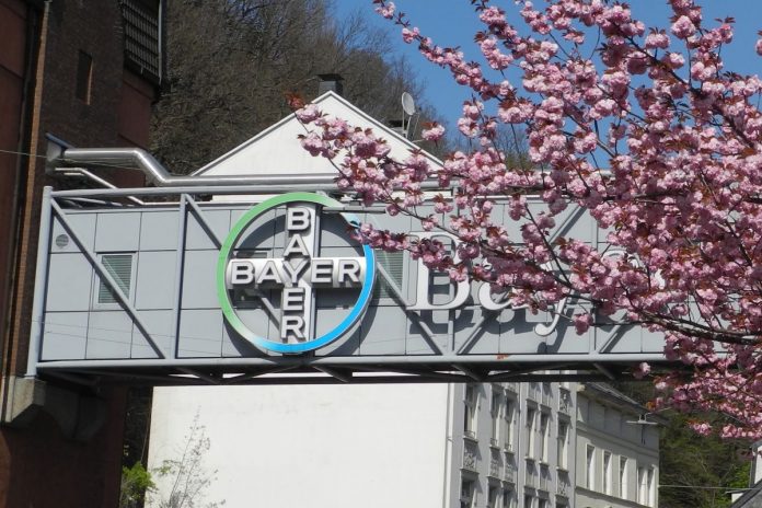 Logo koncernu Bayer.