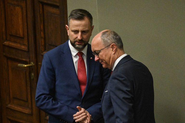 Władysław Kosiniak-Kamysz oraz Włodzimierz Czarzasty.