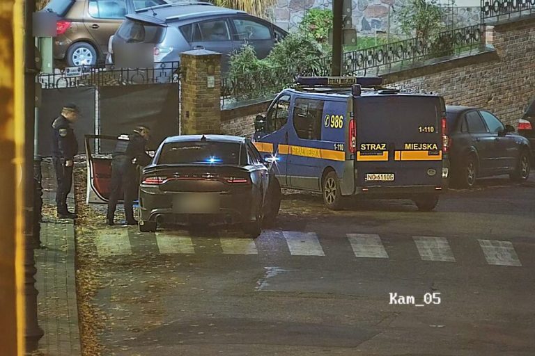 straz miejska olsztyn dodge